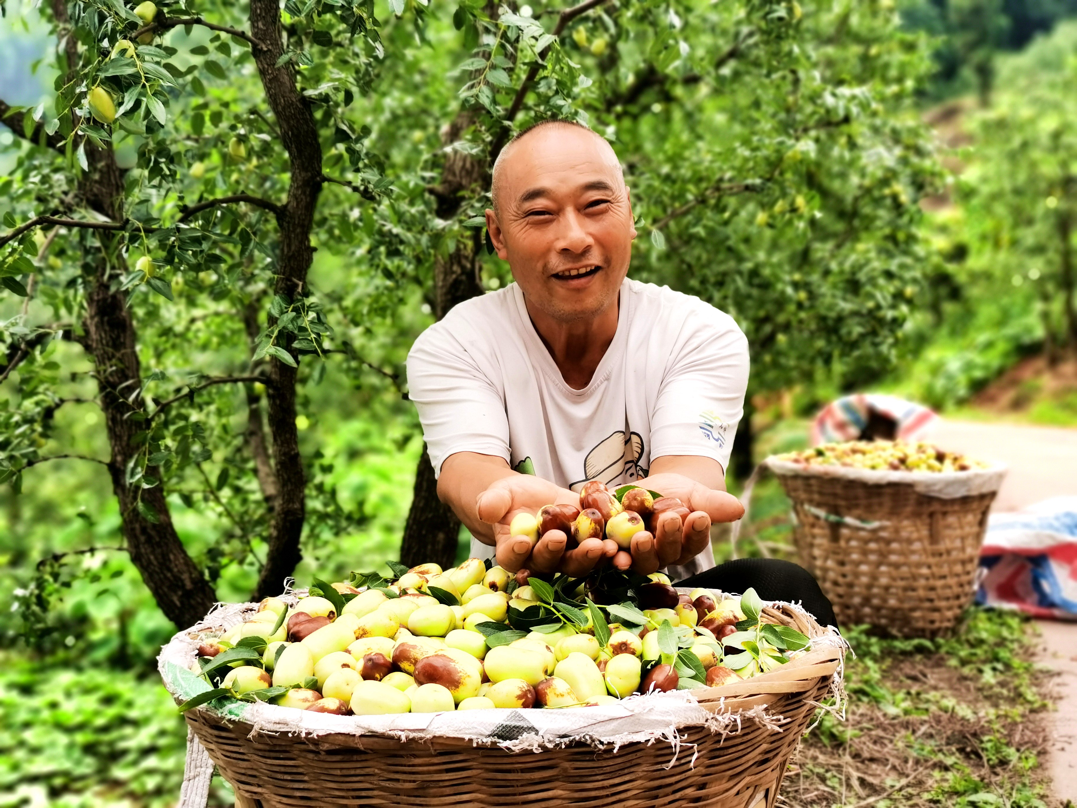 徐元權(quán)手捧鮮棗。.jpg