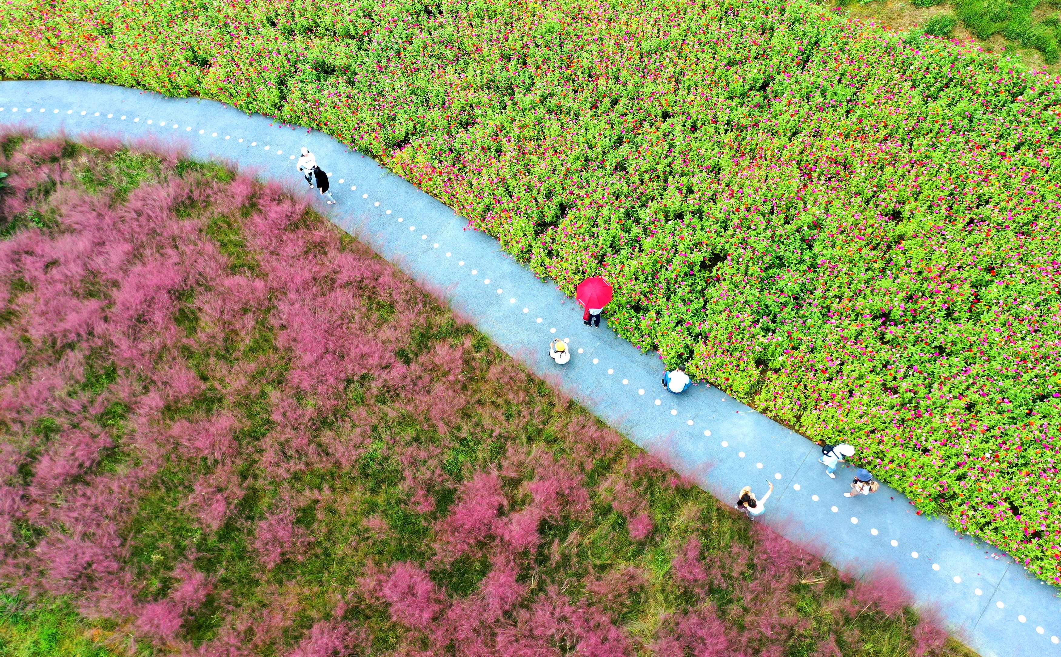 “網(wǎng)紅”景點吸引各地游客。.jpg