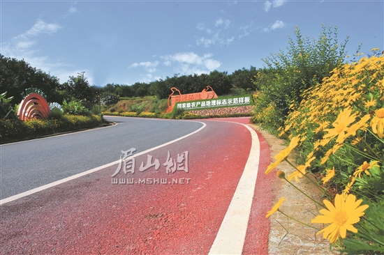 丹棱漂亮的農(nóng)村公路。.jpg