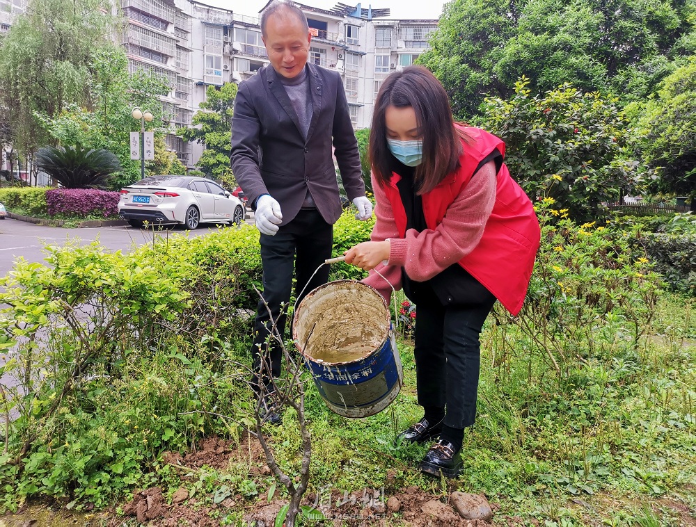 種下小樹，寄托思念.jpg