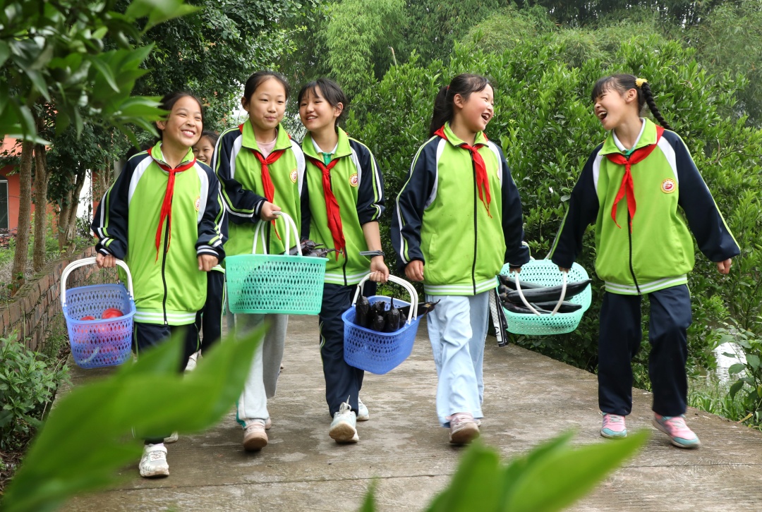 學(xué)生們正在搬運(yùn)蔬菜。.jpg