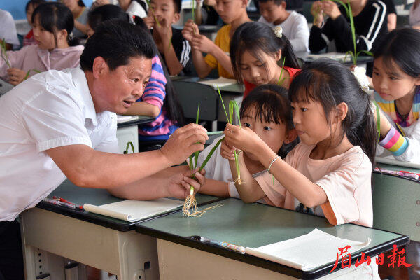  劉敬宗在張場(chǎng)小學(xué)引導(dǎo)學(xué)生做生活的有心人。