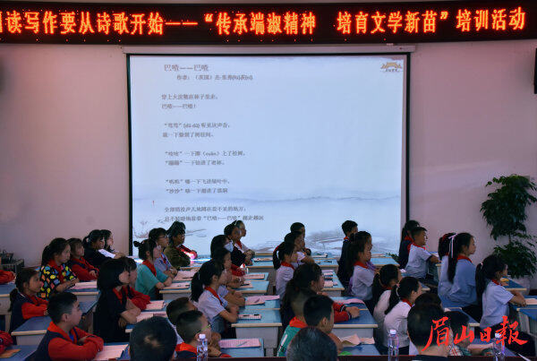 培訓(xùn)活動(dòng)現(xiàn)場(chǎng)。