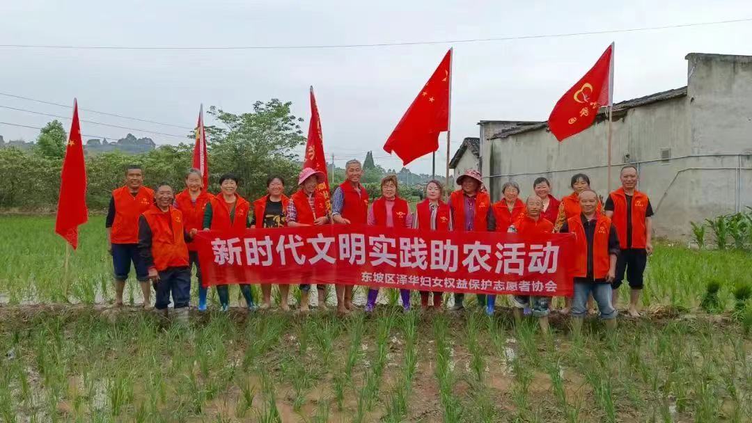 志愿者參與助農(nóng)活動，分享勞動喜悅。 (1).jpg