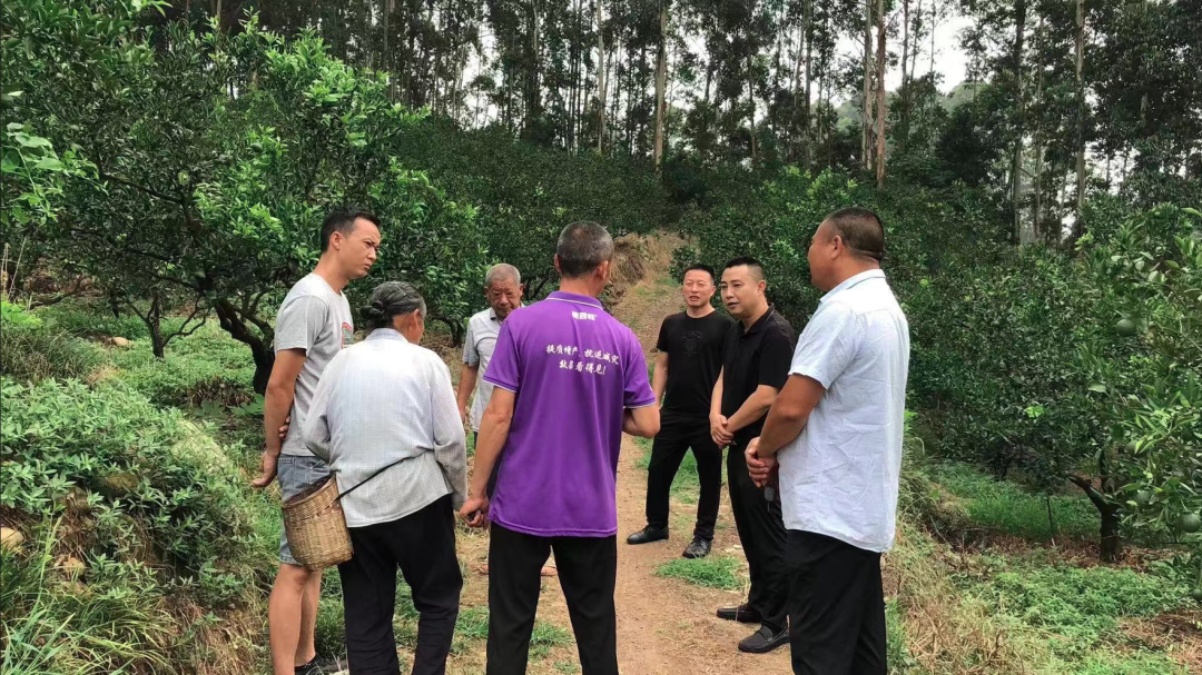 現(xiàn)場化解群眾山林土地糾紛。.png