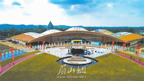 開放發(fā)展以竹為媒聯(lián)通世界。徐鵬 攝.jpg