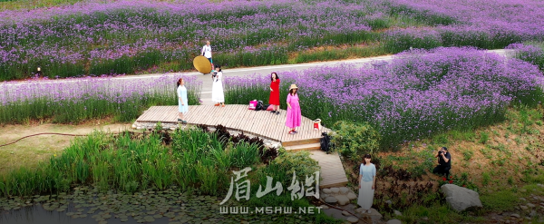 已建成的“中法農業(yè)科技園”展示區(qū)。