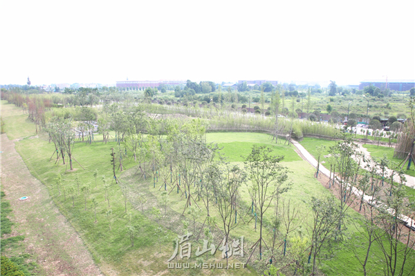 竹韻廊公園總進(jìn)度已完成80%。.JPG