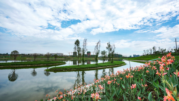 公園內(nèi)鮮花爭(zhēng)艷。