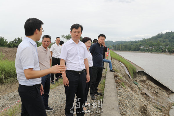 8月19日，在府河彭山江口段，胡元坤聽取堤防水毀點應急搶險情況。眉山在線記者 雷同 攝