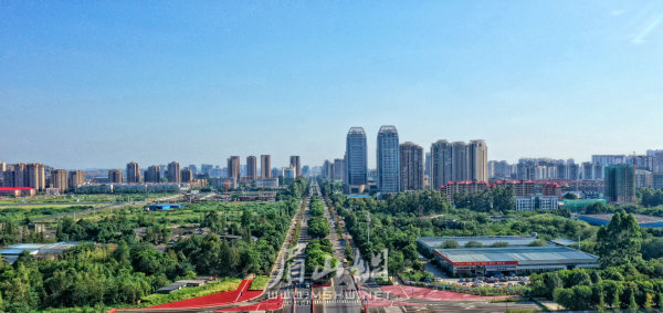 綠意蔥蘢的城市主干道。