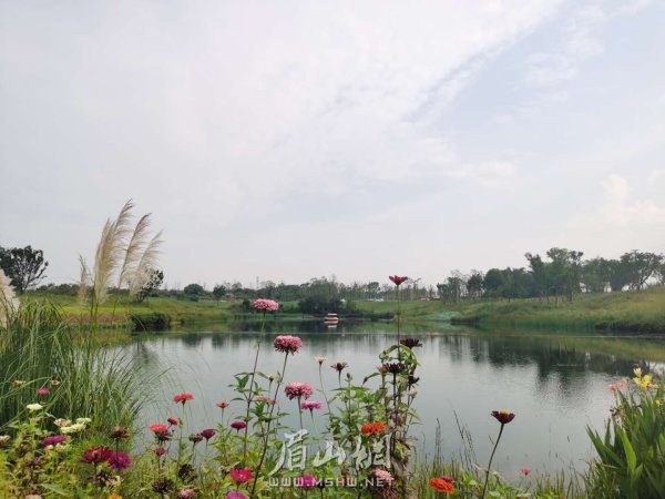 生態(tài)濕地，綠色屏障。