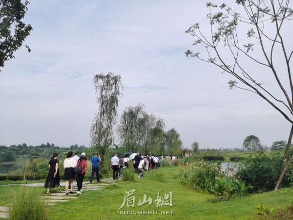 黑龍灘生態(tài)濕地。