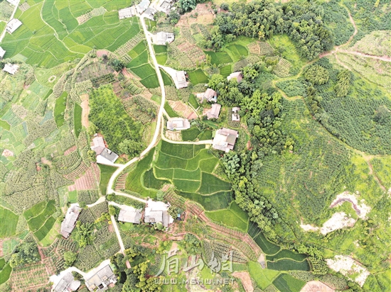 我市綠色農(nóng)業(yè)蓬勃發(fā)展。（資料圖片）