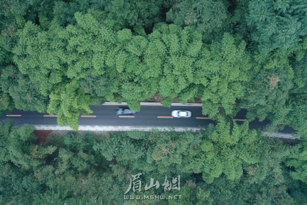 岷江東岸群眾期待的青關(guān)路改造工程竣工，對促進(jìn)沿途鄉(xiāng)鎮(zhèn)經(jīng)濟(jì)發(fā)展具有重要的意義。