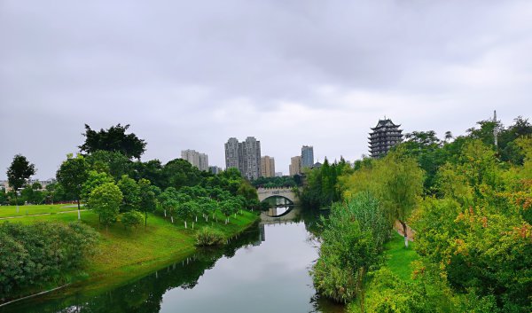 東坡城市濕地公園一角。