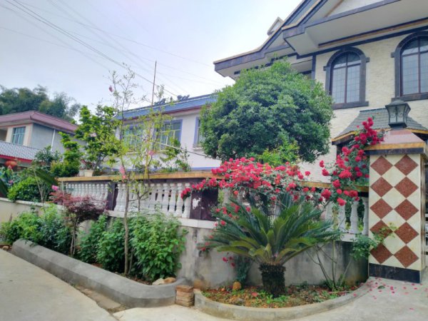 青神縣羅波鄉(xiāng)寶鏡村基層治理有實效。