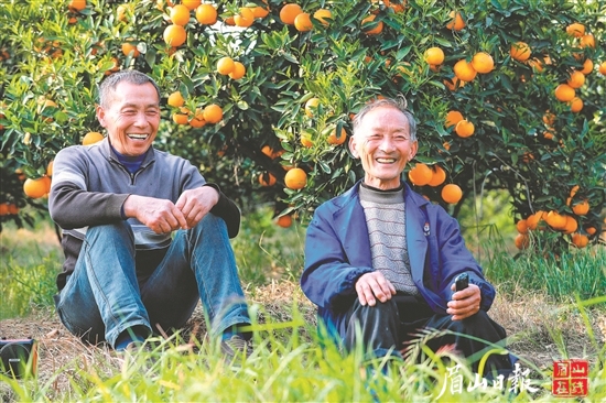 果子即將豐收，丹棱果農(nóng)喜笑顏開(kāi)。（丹棱縣農(nóng)業(yè)農(nóng)村局供圖）