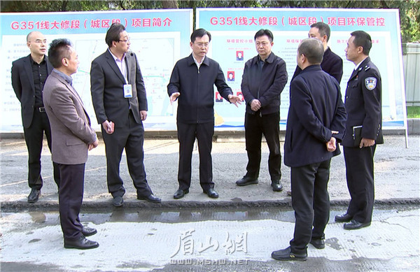 19日，胡元坤調(diào)研眉州大道提升改造情況。記者 雷同 攝.jpg