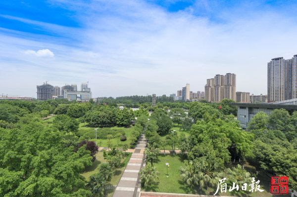 城區(qū)綠樹成蔭。