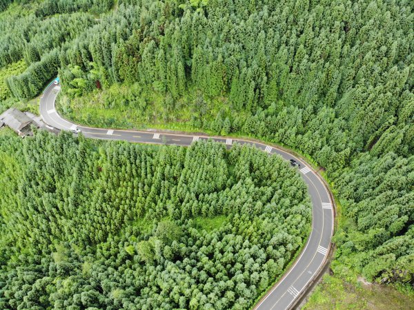 洪雅公路處處綠色盎然。