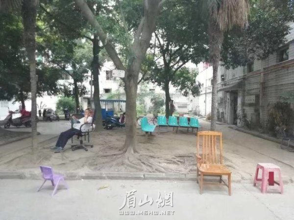 東坡區(qū)銀杏花園改造前。