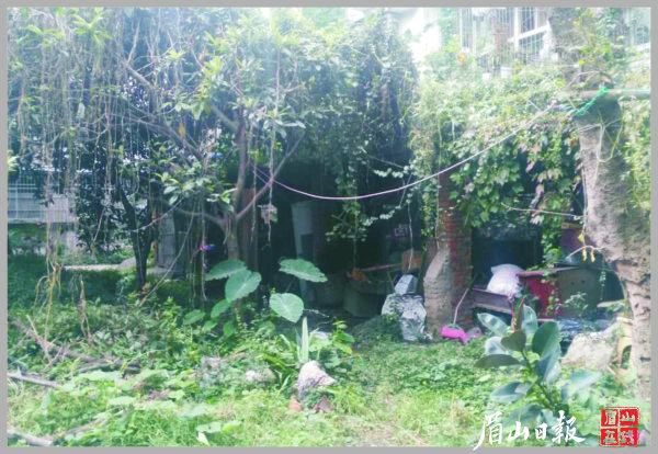 80號小區(qū)改造前。