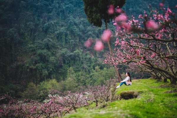 幸福古村成為人們向往的詩和遠(yuǎn)方。