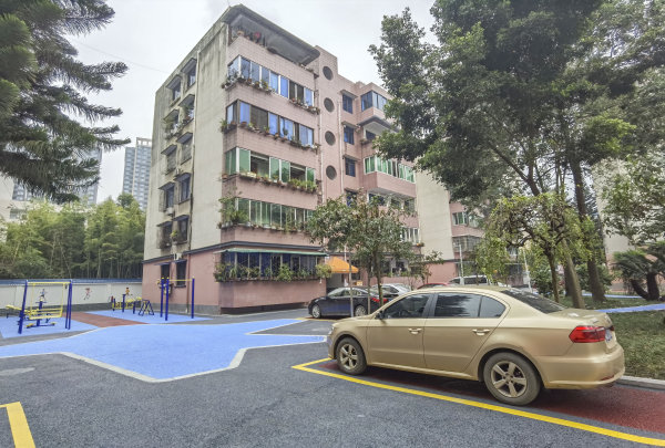 車輛停放有序。
