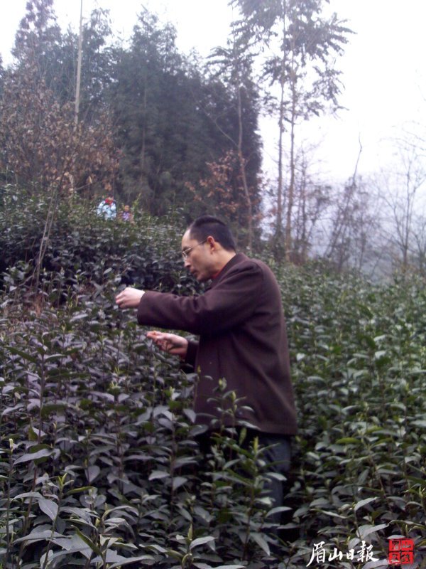 從事茶行業(yè)的何玉琪關注新能源問題。