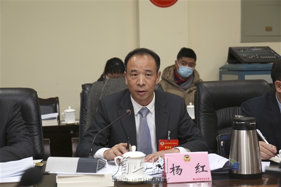 楊紅委員發(fā)言。
