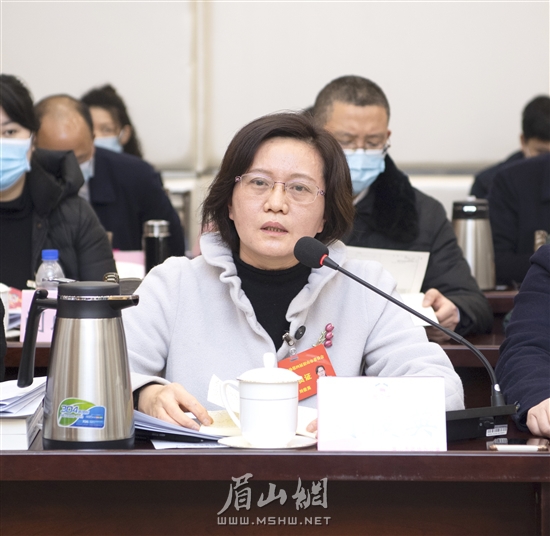 劉俊英委員發(fā)言。