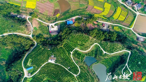 產(chǎn)業(yè)便道助力鄉(xiāng)村振興。