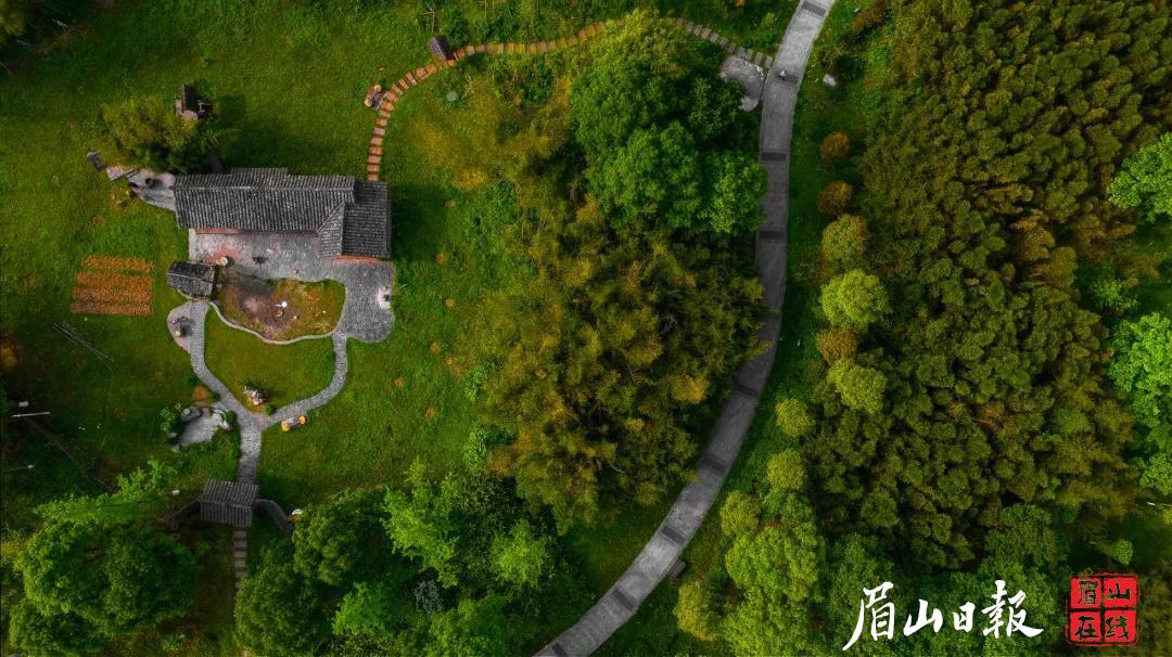 竹林濕地公園。徐鵬 攝