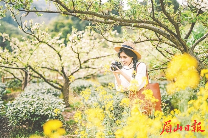 美麗鄉(xiāng)村惹人醉。