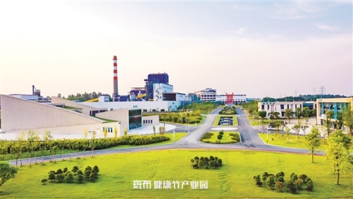 以竹代塑——青神竹紙產(chǎn)業(yè)蓬勃發(fā)展。（資料圖片）