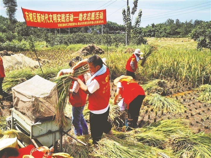 助農志愿活動。（資料圖片）