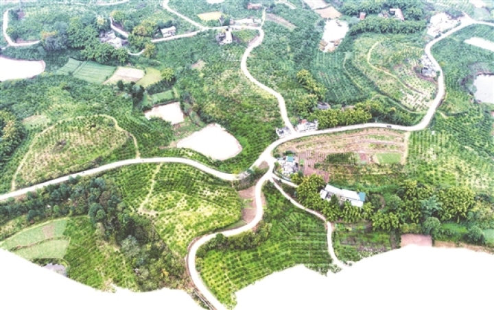 四通八達的鄉(xiāng)村公路。
