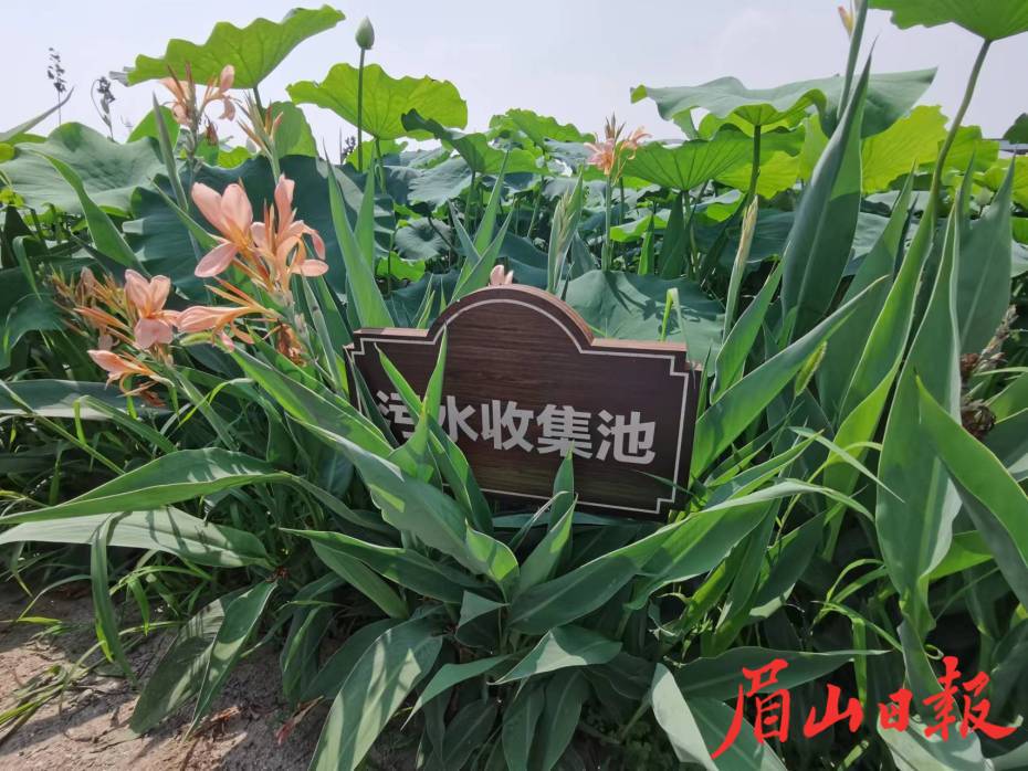 掩映在花叢中的污水分級(jí)處理設(shè)備。