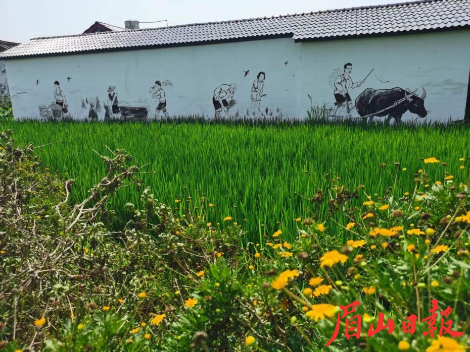  美麗村貌。