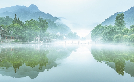煙雨柳江。 張佳豪 攝