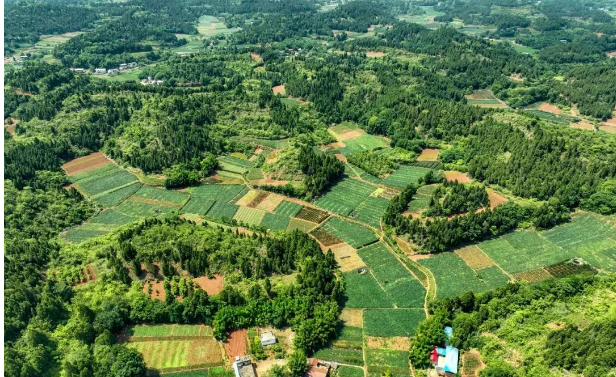 航拍甘泉村。