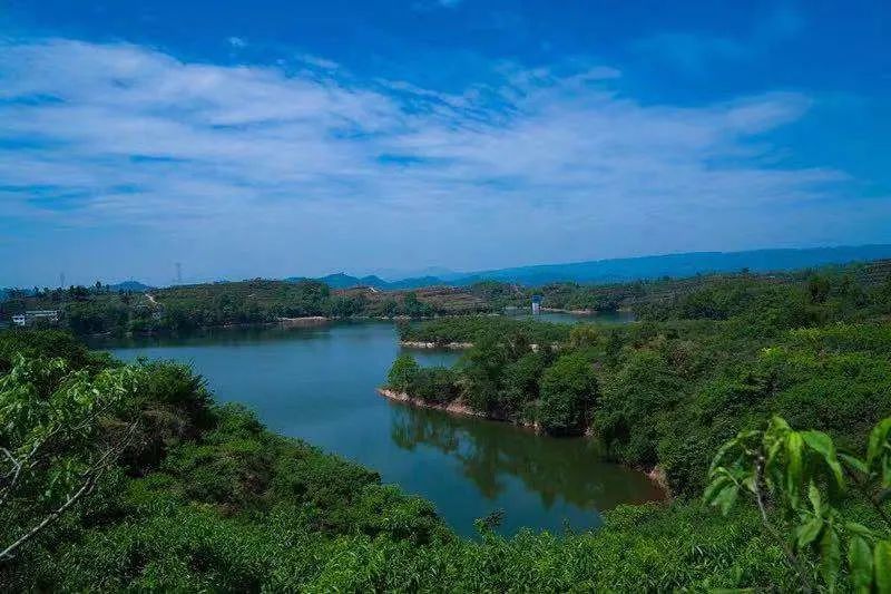  桂香村。（圖源丹棱發(fā)布）