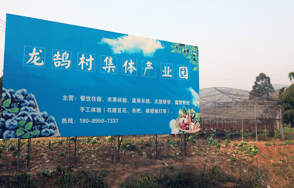  龍鵠村集體經(jīng)濟(jì)產(chǎn)業(yè)園。