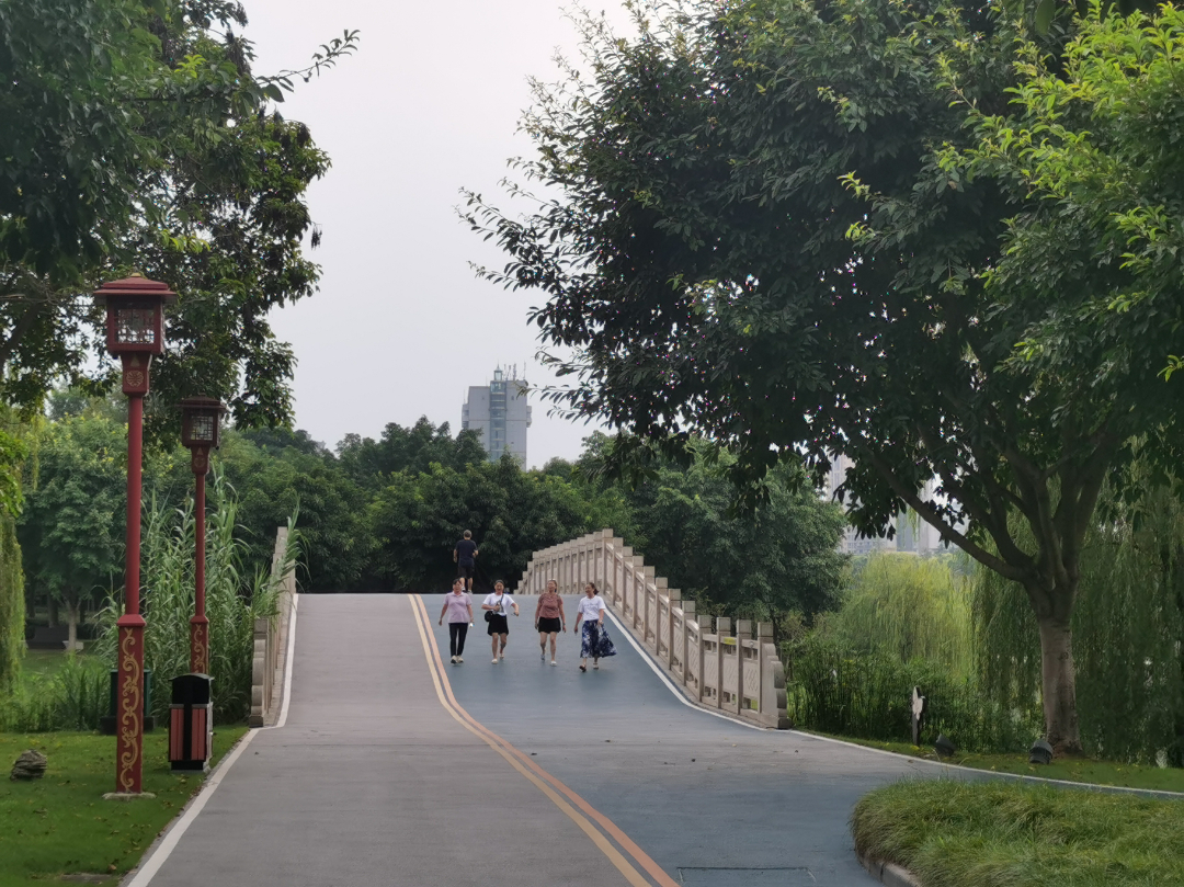  市民在東坡城市濕地公園散步。