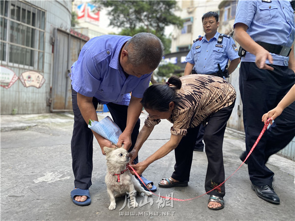 市民在蘇祠派出所民警的勸導(dǎo)下，迅速為自家敞放犬拴上牽引繩。